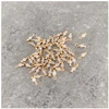 Image de Perle Montée 3 mm Doré à l'or fin 24K - Labradorite - 10 pcs