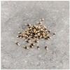 Image de Perle Montée 3 mm Doré à l'or fin 24K - Spinelle - 10 pcs