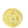 Image de Pendentif Signe Astrologique Lion Doré à l'or fin 24K