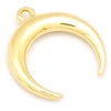 Image de Pendentif Corne Doré à l'or fin 24K 24 x 22 mm
