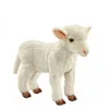 Image de Agneau Blanc Peluche 28cm
