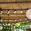 Image de Guirlande Lumineuse ExtÃ©rieur Lumisky Party Milky