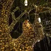 Image de Veilleuse Lumisky Guirlande Lumineuse Solaire DÃ©coration E