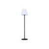 Image de Lampadaire Lumineux Solaire Et Rechargeable Pied MÃ©tal Led Blanc Chaud / Blanc Dimmable Standy Solar H 150 Cm