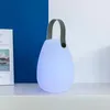 Image de Laury Baladeuse Sans Fil - Led Blanc Chaud/Multicolore
