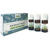 Image de Aroma’Kit Hiver 3 Huiles essentielles Bio