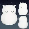 Image de Grande Veilleuse Hibou