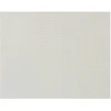 Image de Papier cuir Lézard 50 x 70 cm 188 g/m² Ecru