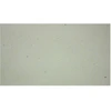 Image de Papier mûrier 47 x 64 cm 25 g/m² Crème