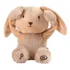Image de Peluche Coucou Et Comptine Valentin