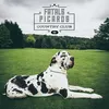 Image de Fatals Picards Country Club - Vinyle 33 Tours