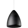 Image de Elipson Bell 4 Noir - Enceinte Suspendue (la pièce)