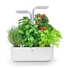 Image de Potager D'intÃ©rieur Smart Blanc
