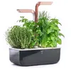 Image de Jardin d'intÃ©rieur Veritable Smart Copper