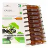 Image de Flora Natura Cassis Bio Articulations et drainage 20 ampoules