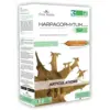 Image de Flora Natura Harpagophytum Articulations Bio 20 ampoules