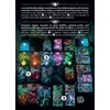 Image de Legions : Abyss Universe Roi Estran