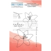 Image de Tampons transparents Life is cool - 5 pcs