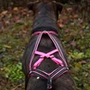 Image de Harnais Pour Chien X-Back One Sports, Canicross, Loisirs Outdoor, Rose