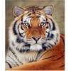 Image de Broderie Diamant 40 x 50 cm Regard de Tigre