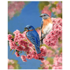 Image de Peinture par numéros Couple d'oiseaux bleus