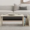 Image de Table basse en bois effet pierre avec porte magazines MELMO