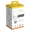 Image de Ampoule Led ConnectÃ© Wi-Fi + Bt, 11 W, Couleurs + Blanc RÃ©glable - Konyks Antalya Color E27