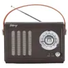 Image de Enceinte/Radio rÃ©tro HALTERREGO style vintage, RMS 5W, Bluetooth, Radio FM, lecteur USB, Aux IN, Batterie rechargeable, marron