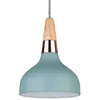 Image de Paulmann Juna Suspension, Ã 1 Lampe, Ã 16 Cm