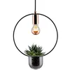 Image de Paulmann Suspension Tasja Avec Pot De Fleur