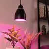 Image de Paulmann Neordic Hilla Suspension, Noire