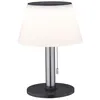Image de Paulmann Lillesol Lampe Ã Poser Solaire ExtÃ©rieur