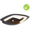 Image de Applique D'extÃ©rieur Led Akena DÃ©tecteur De Mouvement CrÃ©pusculaire (Ir) Favorable Aux Insectes Ip44 243x254mm 2200k 10,8w 800lm 230v Anthracite Aluminium