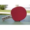 Image de Donic SchildkrÃ¶t Raquette De Tennis De Table Champs Line 300