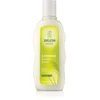 Image de Shampoing nourrissant au millet pour cheveux normaux 190 ml
