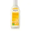 Image de Weleda Shampoing réparateur à l'Avoine pour cheveux secs et abîmés 190 ml