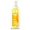 Image de Shampooing RÃ©gÃ©nÃ©rant Ã L'avoine Weleda 190 Ml