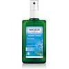 Image de Déodorant Sauge - Teinte : 100 ml