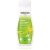 Image de Weleda Citrus Lait Pour Le Corps Hydratation Intense 200 Ml