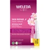 Image de Weleda Wild Rose 7 Nights Soin de nuit 7 jours pour lisser et éclaircir la peau - 7 ml