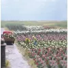 Image de Roses Busch 1205 H0-Busch