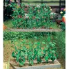 Image de Concombres Et Tomates Busch H0-Busch