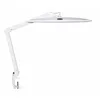 Image de MAUL MAULwork lampe de table 21 W LED Blanc