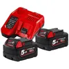 Image de Pack 2 Batteries 18V MILWAUKEE M18 NRG-502 2 x 5.0 Ah 4933459217