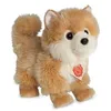 Image de Peluche Loulou De PomÃ©ranie 22 Cm (22 Cm)