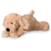 Image de Peluche - Hermann - Chien Beige - 28 cm - Souple - IntÃ©rieur