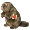 Image de Peluche Marmotte Hermann 20 Cm (20 Cm)