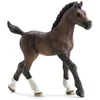 Image de Horse Club Poulain Arabe