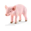 Image de Farm World Cochonnet Debout