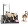 Image de Horse Club Box De Lavage Pour Chevaux